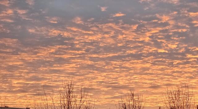 05-11-2025 om 07.38…