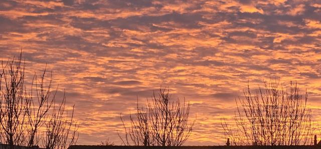 05-11-2025 om 07.38…