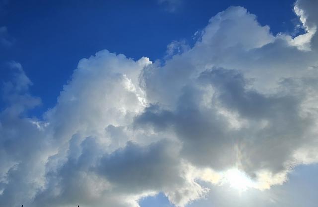 09-11-2025 om 11.50…