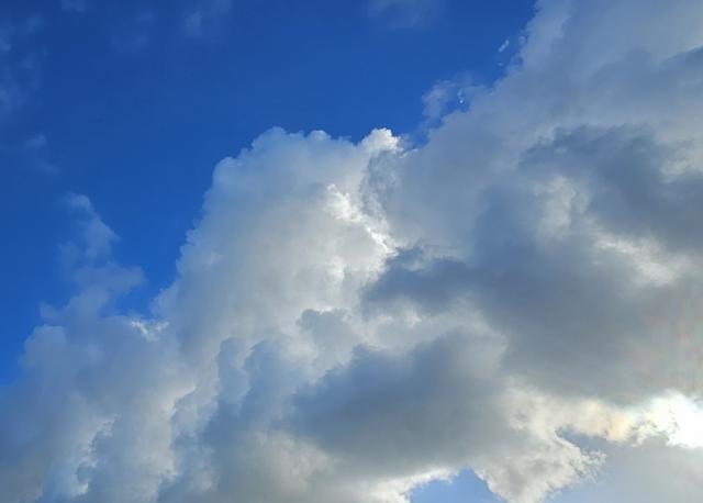 09-11-2025 om 11.51…