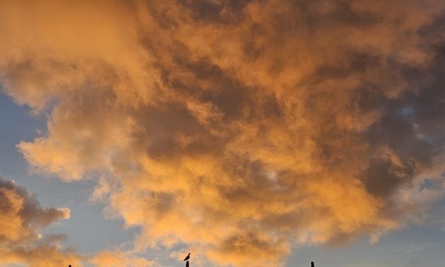 11-11-2025 om 08.05…