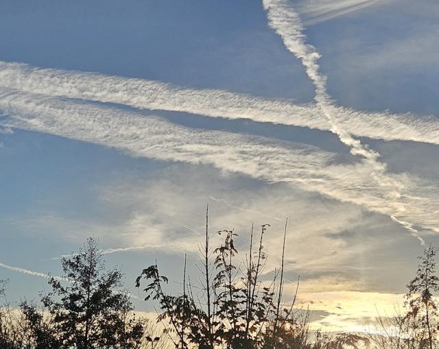 12-11-2025 om 16.01…