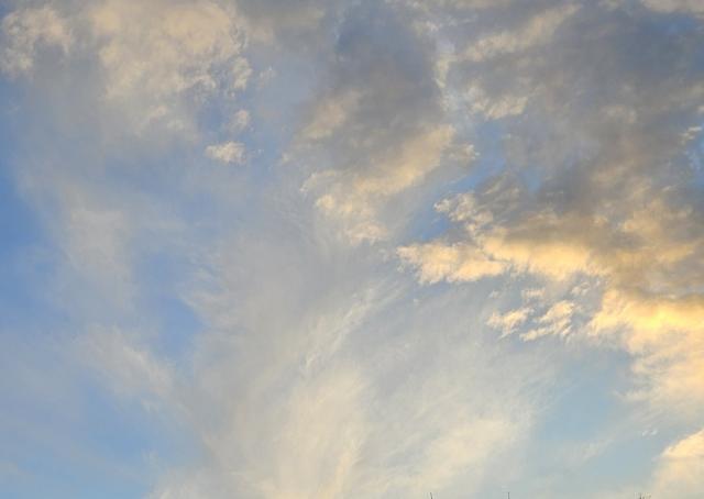 13-11-2025 om 16.30…