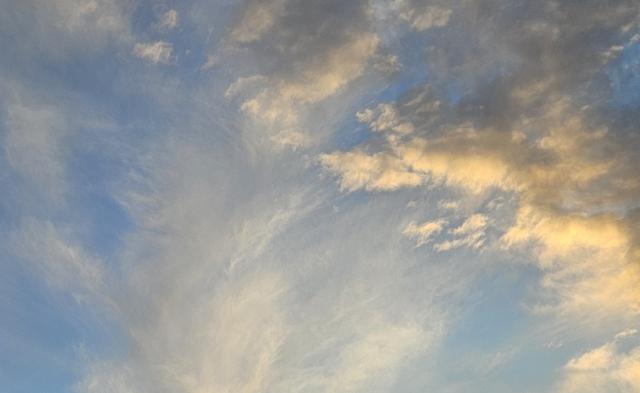 13-11-2025 om 16.31…