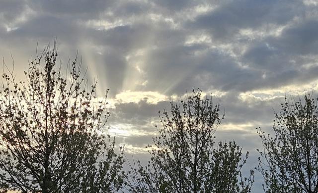 09-04-2026 0m 08.04…