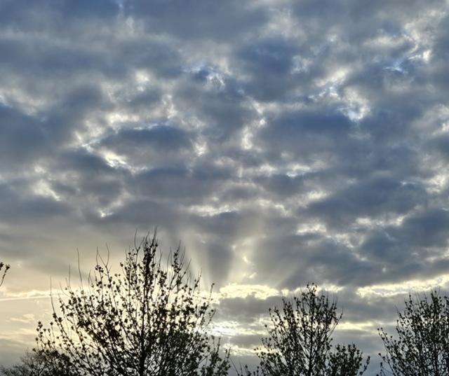 09-04-2026 om 08.05…